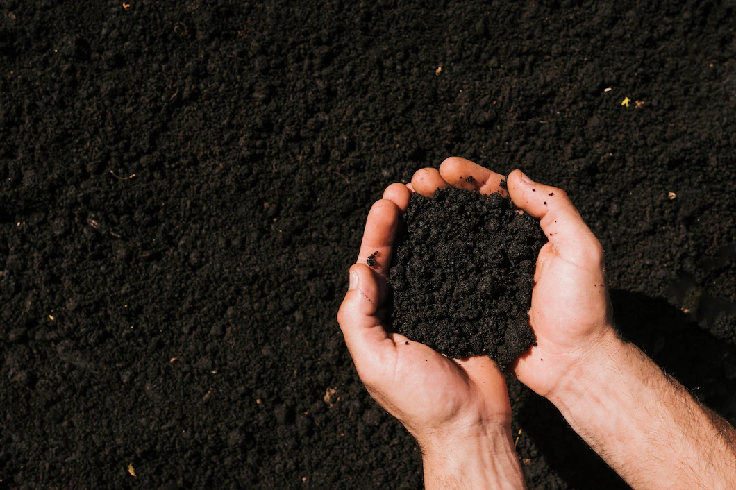 Organic fertilizer advantages